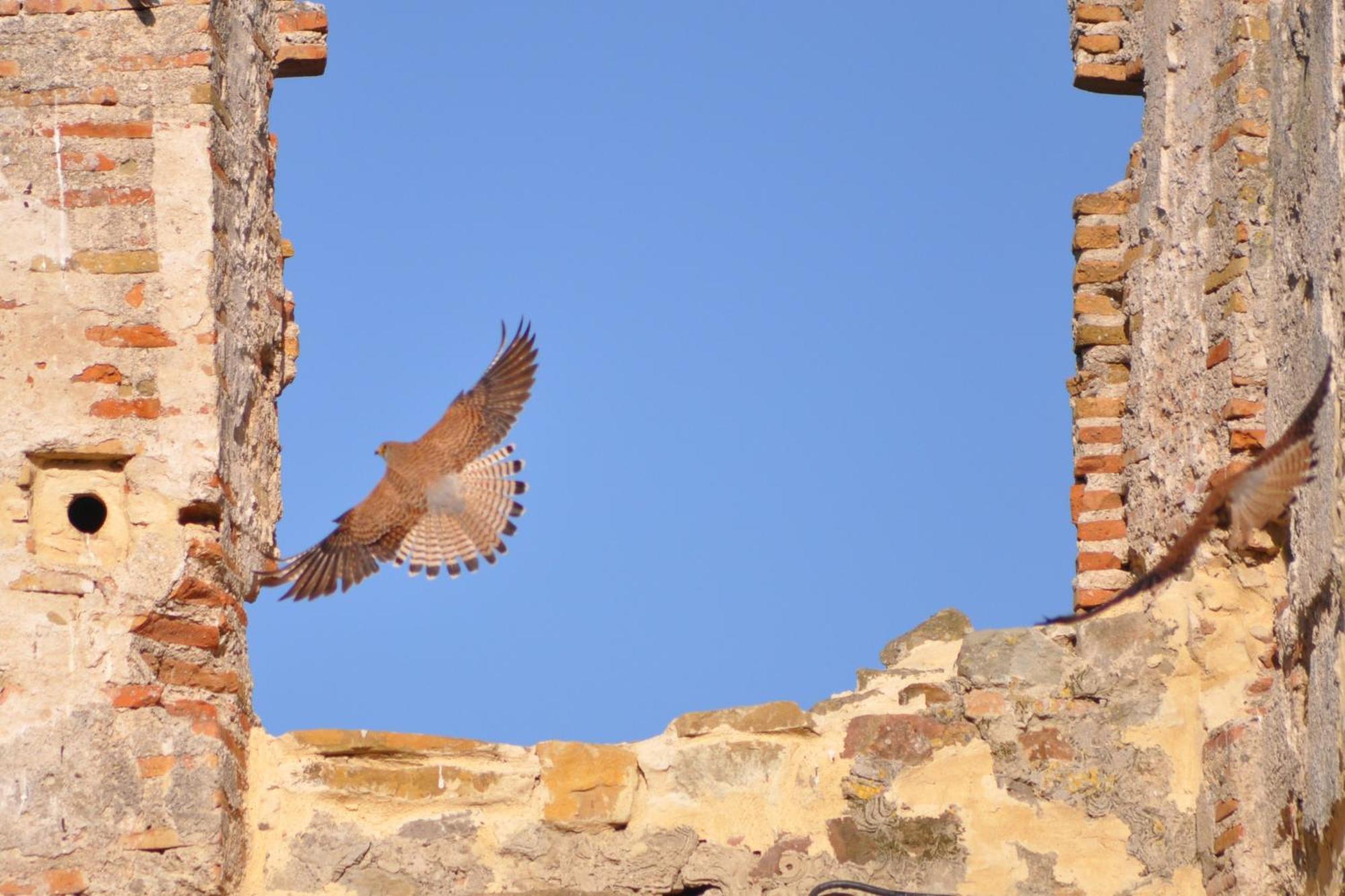 Convento Tarifa Hotel ภายนอก รูปภาพ