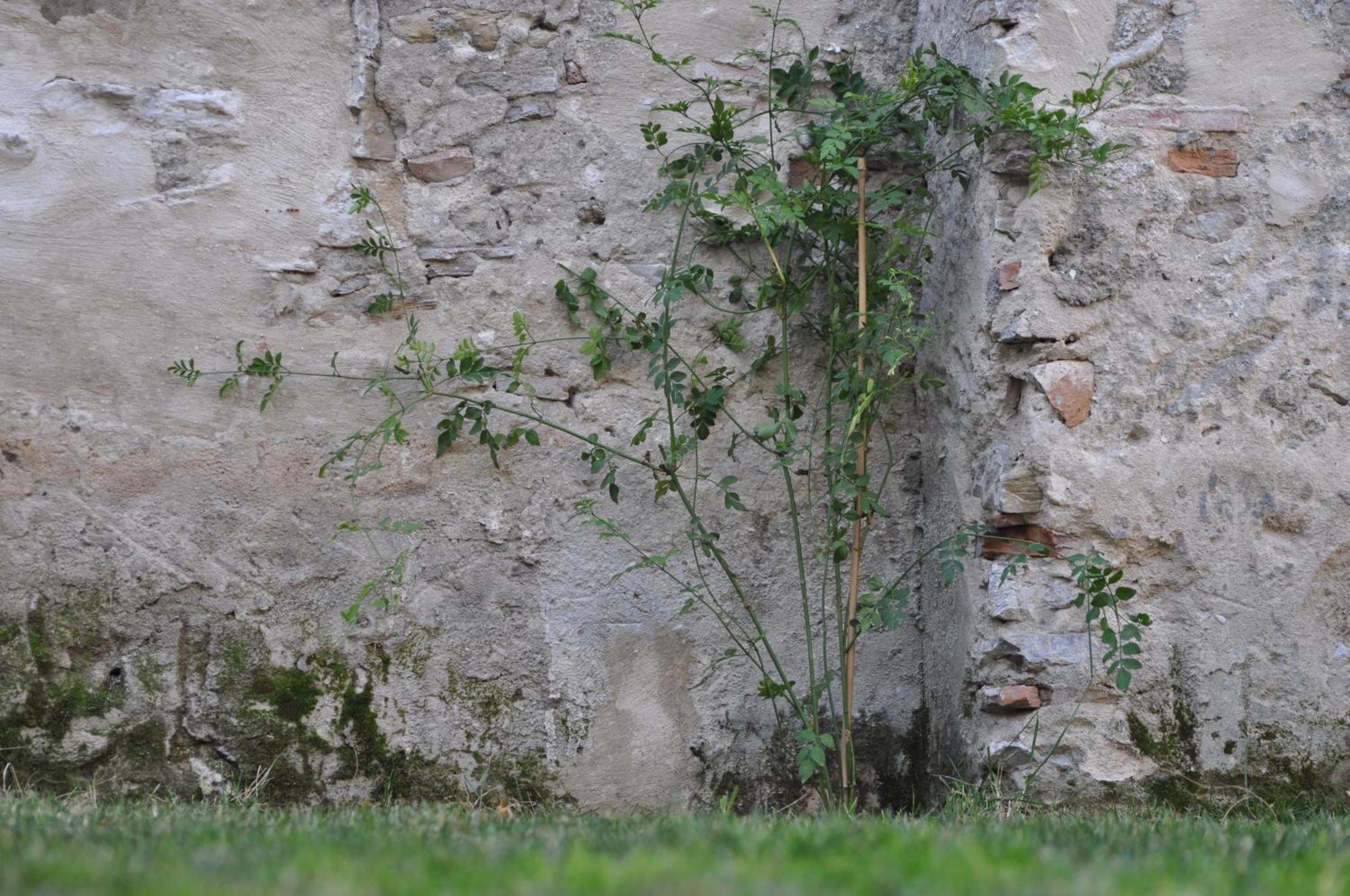 Convento Tarifa Hotel ภายนอก รูปภาพ